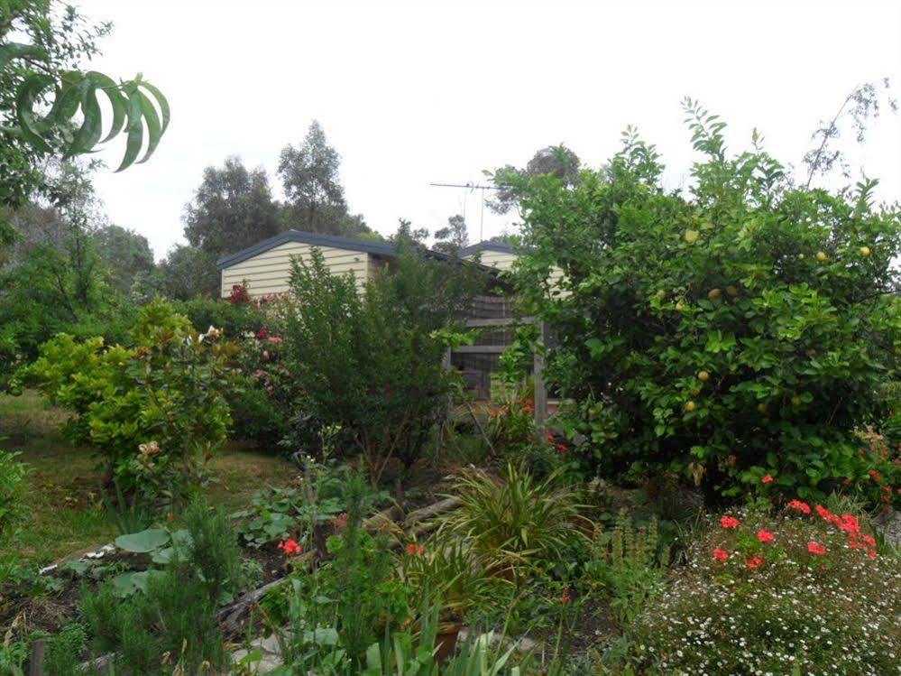Australian Home Away @ Wonga Park Brushy Creek 외부 사진